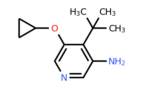 CAS 1243368-90-2 | 4-Tert-butyl-5-cyclopropoxypyridin-3-amine