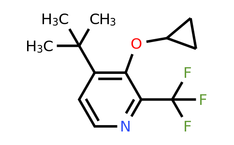 CAS 1243369-59-6 | 4-Tert-butyl-3-cyclopropoxy-2-(trifluoromethyl)pyridine