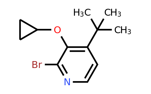 CAS 1243369-67-6 | 2-Bromo-4-tert-butyl-3-cyclopropoxypyridine
