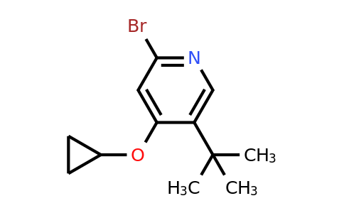CAS 1243369-78-9 | 2-Bromo-5-tert-butyl-4-cyclopropoxypyridine