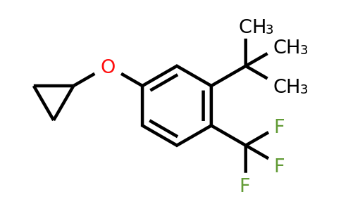 CAS 1243369-88-1 | 2-Tert-butyl-4-cyclopropoxy-1-(trifluoromethyl)benzene