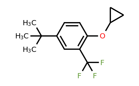 CAS 1243370-05-9 | 4-Tert-butyl-1-cyclopropoxy-2-(trifluoromethyl)benzene