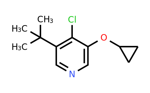 CAS 1243370-08-2 | 3-Tert-butyl-4-chloro-5-cyclopropoxypyridine