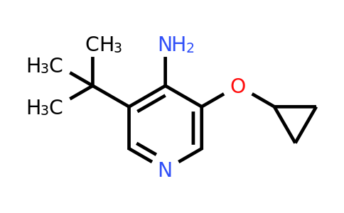 CAS 1243370-52-6 | 3-Tert-butyl-5-cyclopropoxypyridin-4-amine