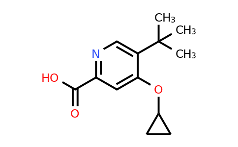 CAS 1243370-69-5 | 5-Tert-butyl-4-cyclopropoxypicolinic acid
