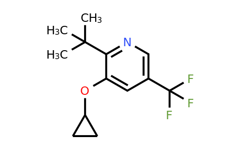 CAS 1243370-71-9 | 2-Tert-butyl-3-cyclopropoxy-5-(trifluoromethyl)pyridine