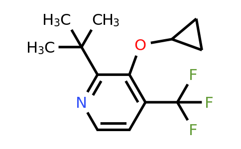 CAS 1243370-80-0 | 2-Tert-butyl-3-cyclopropoxy-4-(trifluoromethyl)pyridine