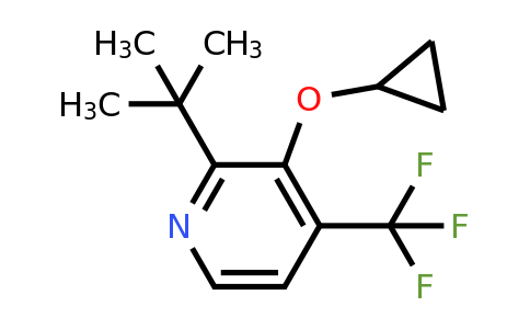 2-Tert-butyl-3-cyclopropoxy-4-(trifluoromethyl)pyridine