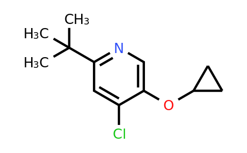 CAS 1243370-89-9 | 2-Tert-butyl-4-chloro-5-cyclopropoxypyridine