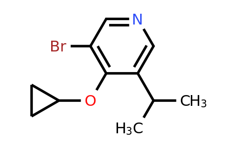 CAS 1243371-19-8 | 3-Bromo-4-cyclopropoxy-5-(propan-2-YL)pyridine