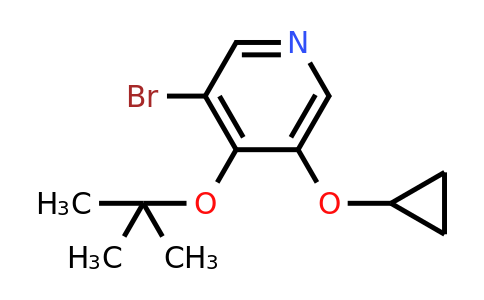 CAS 1243371-30-3 | 3-Bromo-4-tert-butoxy-5-cyclopropoxypyridine