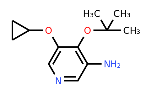 CAS 1243371-45-0 | 4-Tert-butoxy-5-cyclopropoxypyridin-3-amine