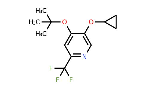 CAS 1243371-70-1 | 4-Tert-butoxy-5-cyclopropoxy-2-(trifluoromethyl)pyridine