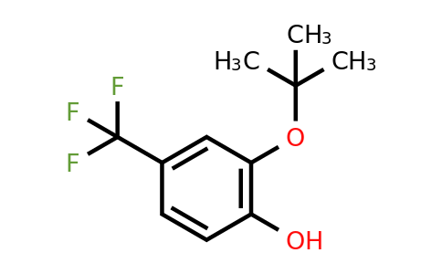 CAS 1243372-19-1 | 2-Tert-butoxy-4-(trifluoromethyl)phenol