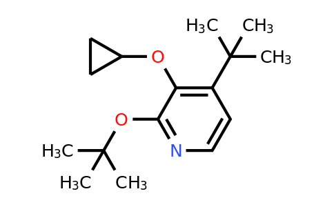 CAS 1243372-28-2 | 2-Tert-butoxy-4-tert-butyl-3-cyclopropoxypyridine