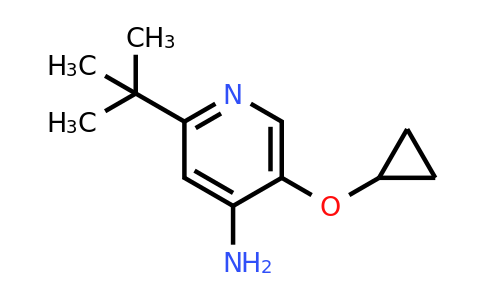 CAS 1243372-33-9 | 2-Tert-butyl-5-cyclopropoxypyridin-4-amine