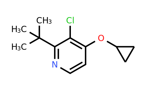 CAS 1243372-57-7 | 2-Tert-butyl-3-chloro-4-cyclopropoxypyridine