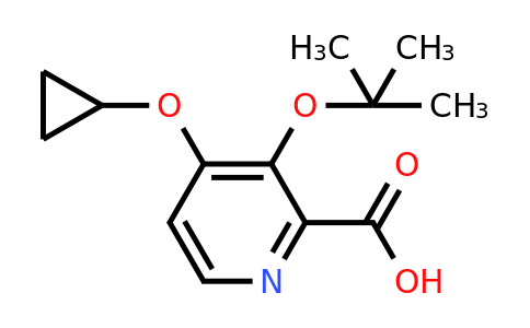 CAS 1243372-68-0 | 3-Tert-butoxy-4-cyclopropoxypicolinic acid