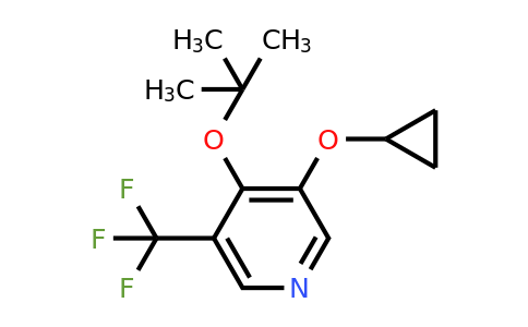 CAS 1243372-71-5 | 4-Tert-butoxy-3-cyclopropoxy-5-(trifluoromethyl)pyridine