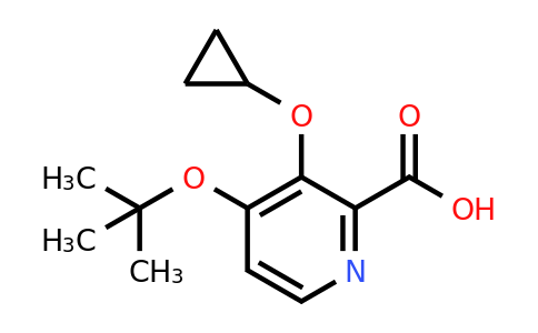 CAS 1243374-29-9 | 4-Tert-butoxy-3-cyclopropoxypicolinic acid