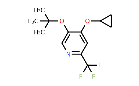 CAS 1243374-36-8 | 5-Tert-butoxy-4-cyclopropoxy-2-(trifluoromethyl)pyridine