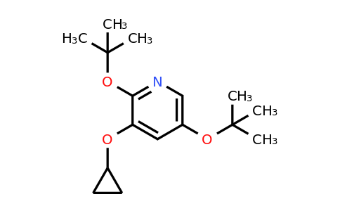 CAS 1243374-41-5 | 2,5-DI-Tert-butoxy-3-cyclopropoxypyridine