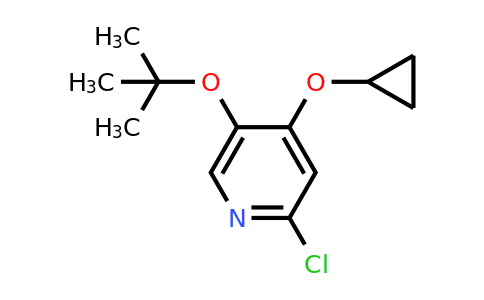 CAS 1243374-44-8 | 5-Tert-butoxy-2-chloro-4-cyclopropoxypyridine