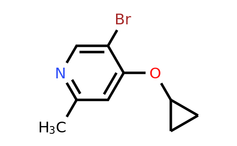 CAS 1243374-57-3 | 5-Bromo-4-cyclopropoxy-2-methylpyridine