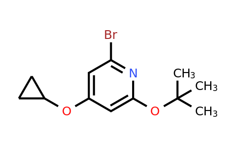 CAS 1243375-01-0 | 2-Bromo-6-tert-butoxy-4-cyclopropoxypyridine