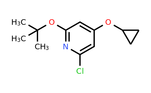 CAS 1243375-05-4 | 2-Tert-butoxy-6-chloro-4-cyclopropoxypyridine