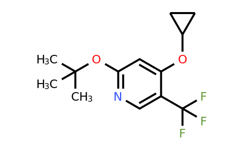 CAS 1243375-09-8 | 2-Tert-butoxy-4-cyclopropoxy-5-(trifluoromethyl)pyridine