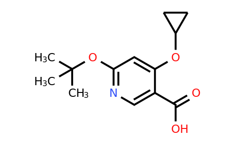 CAS 1243375-13-4 | 6-Tert-butoxy-4-cyclopropoxynicotinic acid