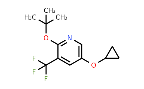 CAS 1243375-24-7 | 2-Tert-butoxy-5-cyclopropoxy-3-(trifluoromethyl)pyridine