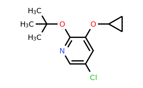 CAS 1243375-34-9 | 2-Tert-butoxy-5-chloro-3-cyclopropoxypyridine