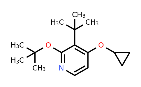 CAS 1243375-42-9 | 2-Tert-butoxy-3-tert-butyl-4-cyclopropoxypyridine
