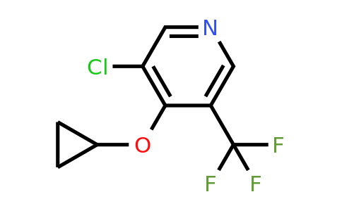 CAS 1243375-58-7 | 3-Chloro-4-cyclopropoxy-5-(trifluoromethyl)pyridine