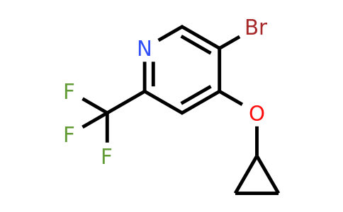 CAS 1243375-68-9 | 5-Bromo-4-cyclopropoxy-2-(trifluoromethyl)pyridine