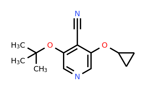 CAS 1243377-31-2 | 3-Tert-butoxy-5-cyclopropoxyisonicotinonitrile