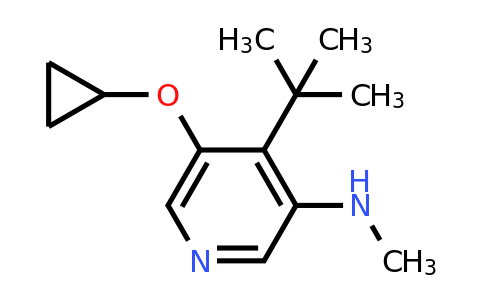 CAS 1243378-11-1 | 4-Tert-butyl-5-cyclopropoxy-N-methylpyridin-3-amine