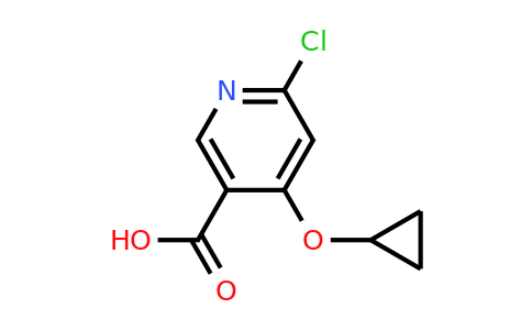 CAS 1243378-88-2 | 6-Chloro-4-cyclopropoxynicotinic acid