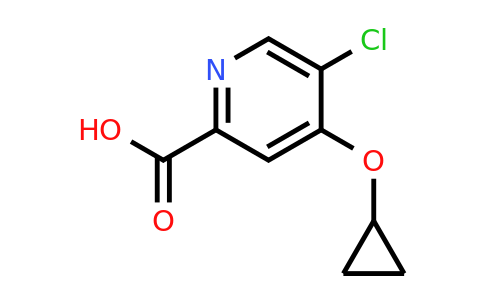 CAS 1243379-47-6 | 5-Chloro-4-cyclopropoxypicolinic acid