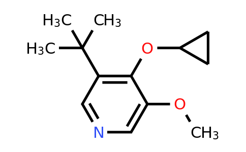 CAS 1243379-73-8 | 3-Tert-butyl-4-cyclopropoxy-5-methoxypyridine