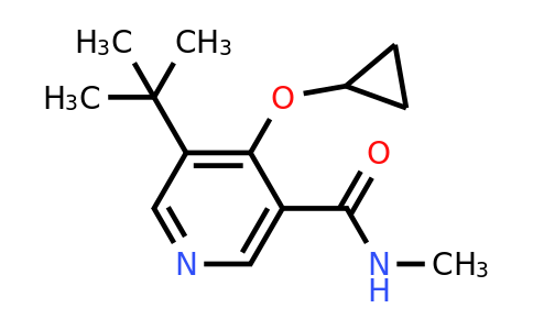 CAS 1243380-65-5 | 5-Tert-butyl-4-cyclopropoxy-N-methylnicotinamide