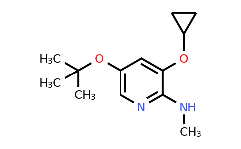 CAS 1243381-49-8 | 5-Tert-butoxy-3-cyclopropoxy-N-methylpyridin-2-amine
