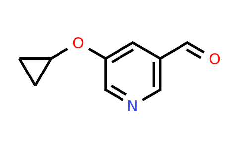 CAS 1243383-13-2 | 5-Cyclopropoxynicotinaldehyde