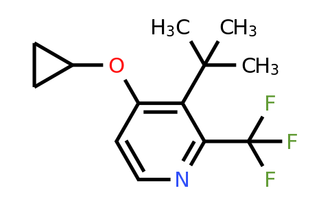 CAS 1243383-19-8 | 3-Tert-butyl-4-cyclopropoxy-2-(trifluoromethyl)pyridine