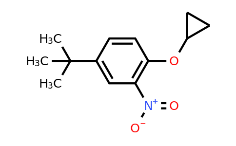 CAS 1243383-43-8 | 4-Tert-butyl-1-cyclopropoxy-2-nitrobenzene