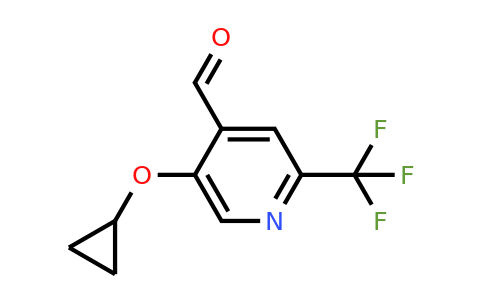 CAS 1243384-35-1 | 5-Cyclopropoxy-2-(trifluoromethyl)isonicotinaldehyde