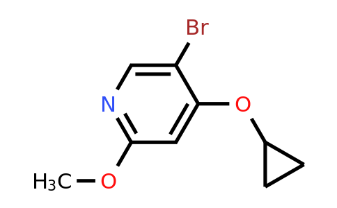 CAS 1243384-43-1 | 5-Bromo-4-cyclopropoxy-2-methoxypyridine