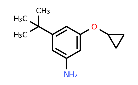 CAS 1243385-43-4 | 3-Tert-butyl-5-cyclopropoxyaniline
